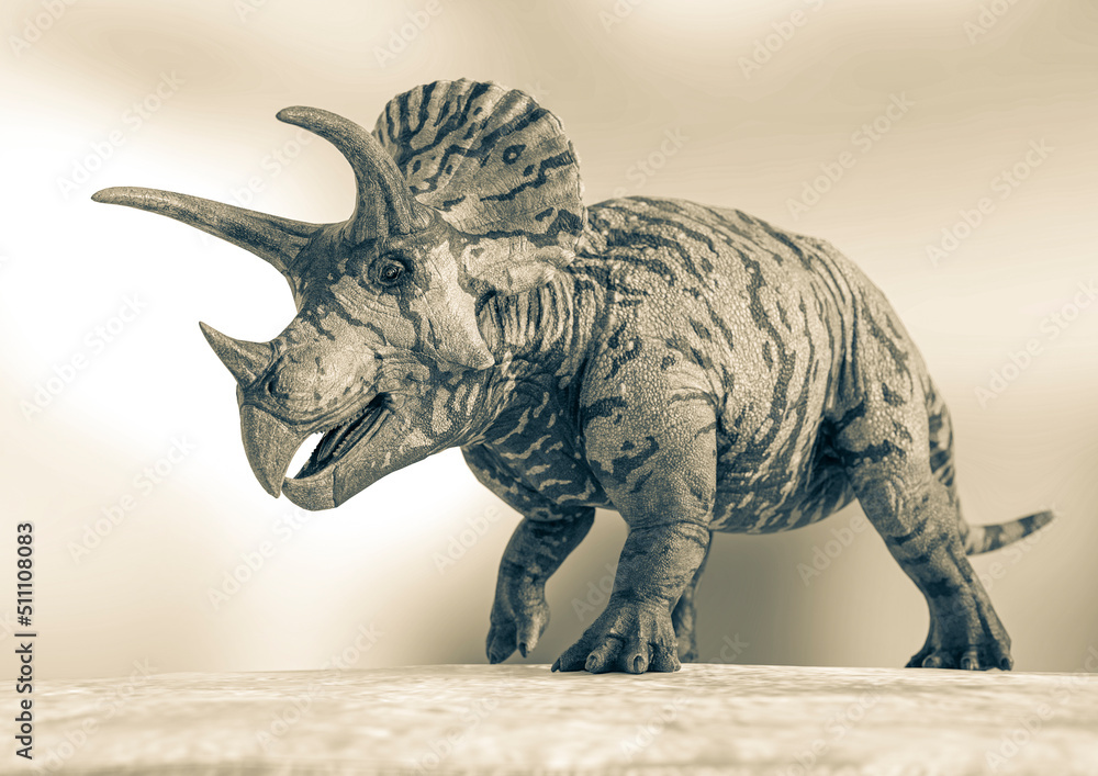 Fototapeta premium triceratops is walking on snow background