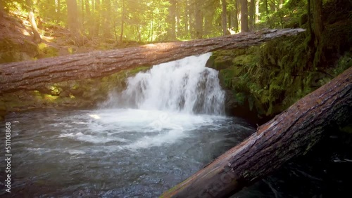 Wallpaper Mural Aerial shot of the lush forest and beautiful White Horse Falls on the Clearwater River in Oregon, USA. Torontodigital.ca