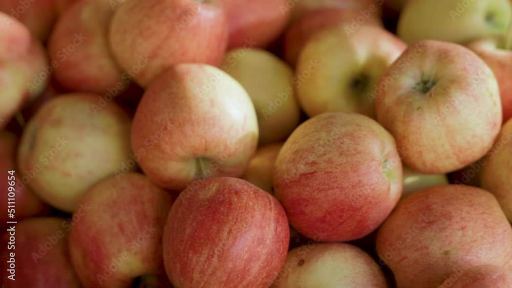 apples 1 apples 1