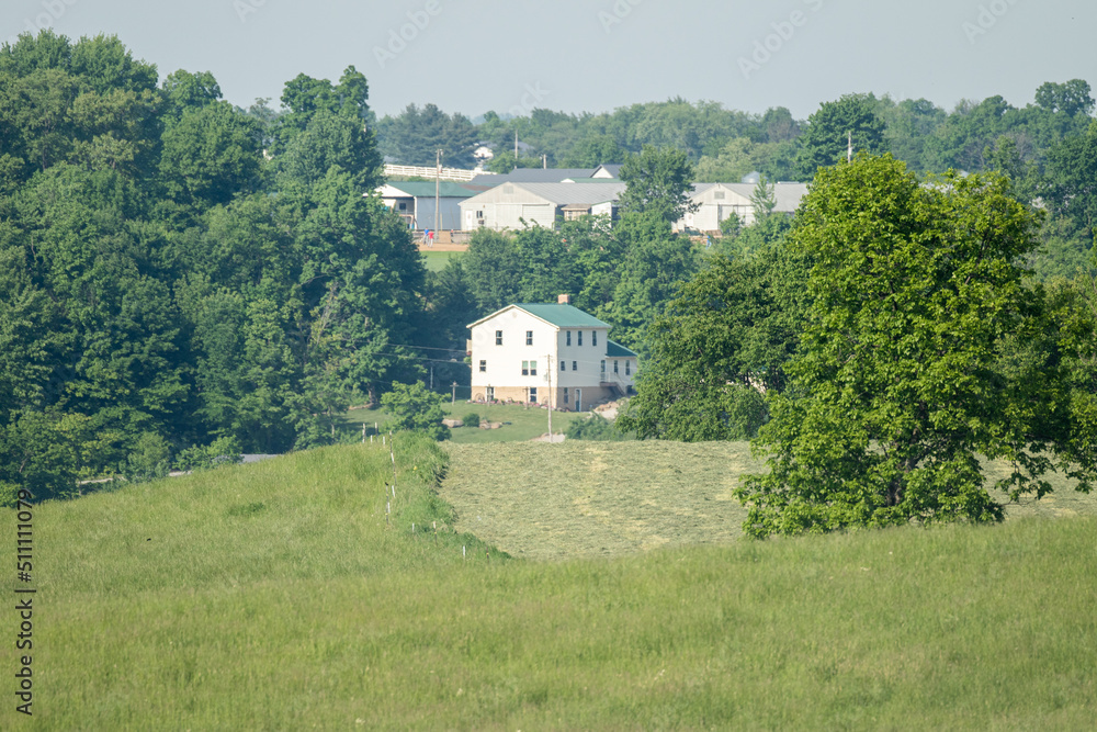 Amish home nestled in the trees in Holmes County, Ohio