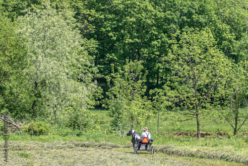 Amish man riding a pony cart in a hay field on his farm | Holmes county, Ohio