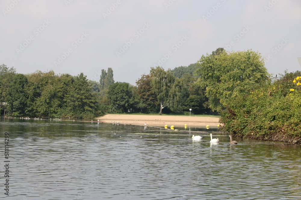 Blick auf das Strandbad mit Sandstrand am Unterbacher See mit Schwänen Blick auf das Strandbad mit Sandstrand am Unterbacher See mit Schwänen