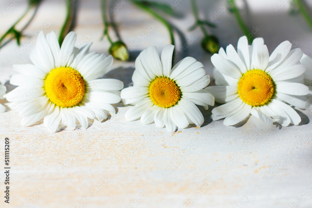 Obraz premium chamomile flower on a wooden background. the concept of medicinal herbs, summer mood