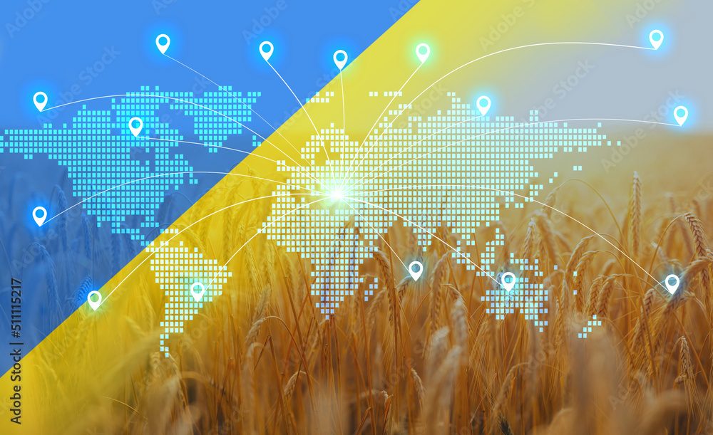 Ukraine has begun exporting wheat, grain reserves worldwide. Stop  food crisis. Unlocking grain exports to Ukraine.Solving export logistics - obrazy, fototapety, plakaty 