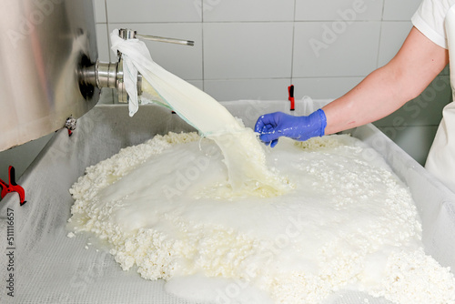 On the processing table, the whey is separated from the curd photo