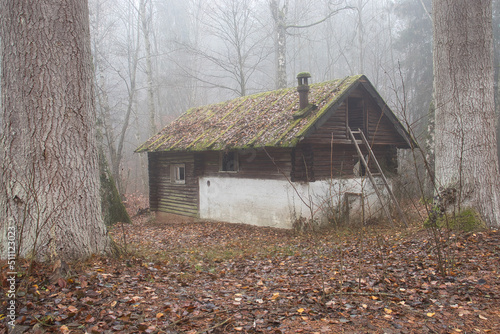 Back side of abandoned cabin in the trees in the Palatinate forest of Germany on a foggy fall day.