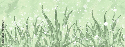 Watercolor blue background  blot  blob  splash of blue paint. Watercolor drawing. Sea bottom with algae  wild grass  plants. Watercolor banner. Multi-colored seaweed. Colorful summer landscape. 