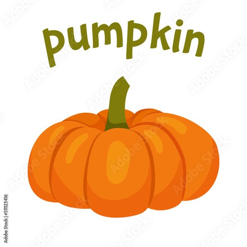 Cartoon orange pumpkin. Thanksgiving clipart, farm harvest. Vegetable icon for kids book, greeting cards, sign and invitation for halloween. Vector illustration isolated on a white background.