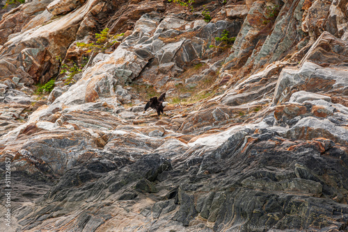 Fototapeta Skagway, Alaska, USA - July 20, 2011: Taiya Inlet above Chilkoot Inlet