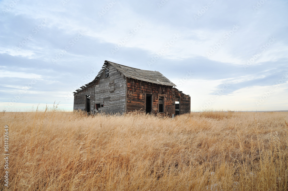 Calgary, Alberta, Canada - June 15, 2022: old rustic homestead barn in farmers field at fall time against cloudy overcast day, photo taken from public roadside Calgary, Alberta, Canada - June 15, 2022: old rustic homestead barn in farmers field at fall time against cloudy overcast day, photo taken from public roadside