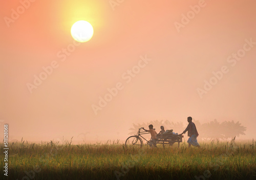 Foggy magical winter morning scenic view. Real beauty of rural Bangladesh. Countryside villages