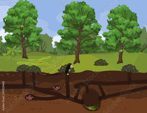 Scheme of structure of underground mole tunnels with earthworms and European mole (Talpa europaea). Below ground level landscape with mole holes, molehills and tree