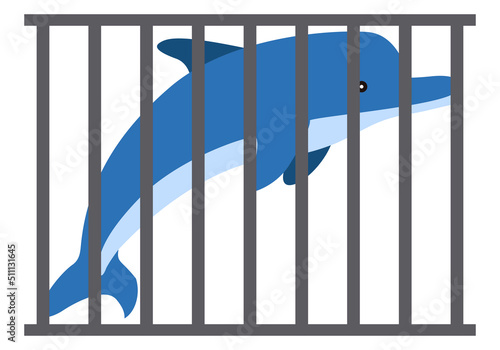 Delfín azul en cautiverio tras una jaula. 