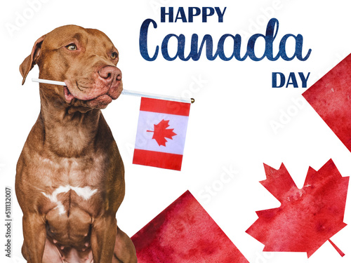 Lovable, pretty dog and Canadian Flag. Closeup