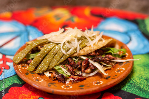 Mexican traditional taco with grasshoppers and vegetables in oaxaca