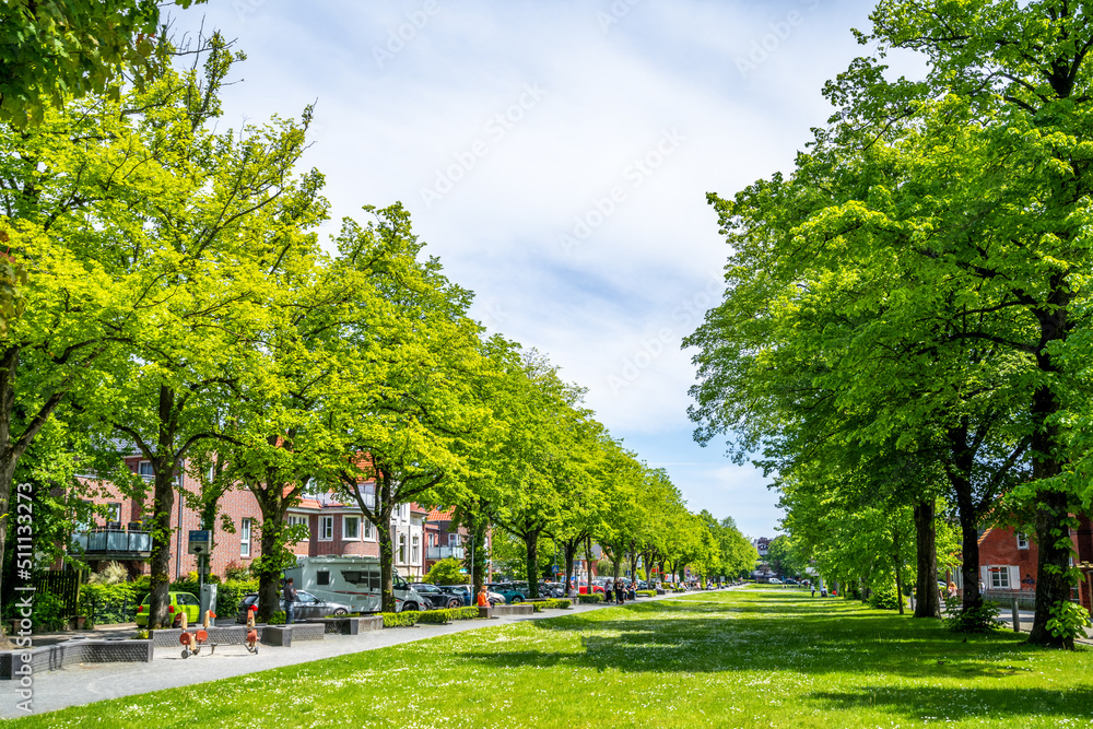 Obraz premium Park, Aurich, Ostfriesland, Deutschland 