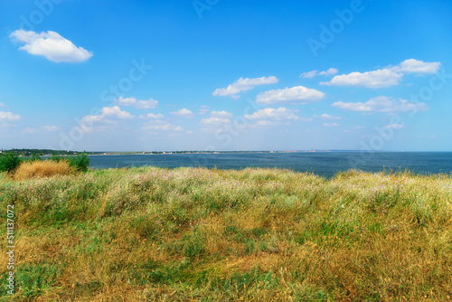beautiful summer seascape, seashore on a bright day, high hill and wild grass