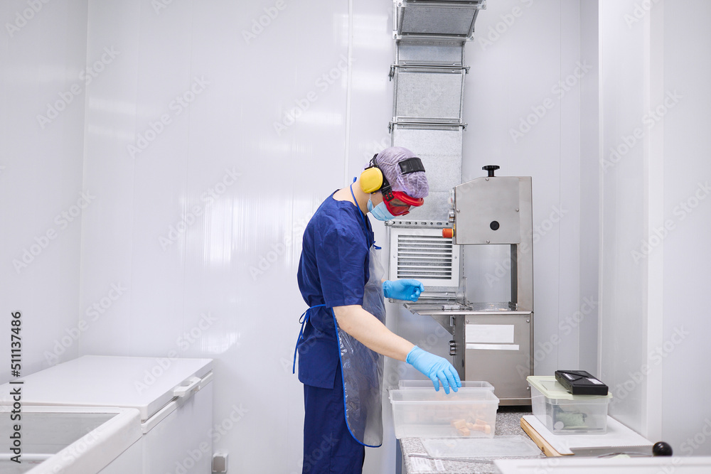 A researcher works with materials for experiments A researcher works with materials for experiments
