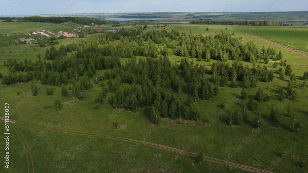Aerial view of green fields and trees