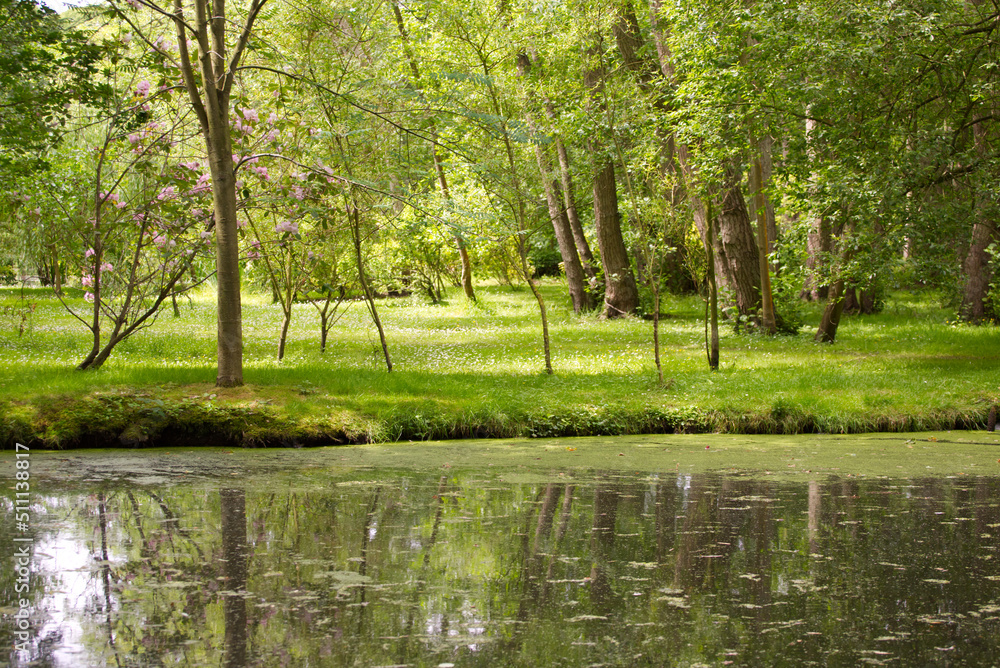 Peaceful calming river and green forest in summer Peaceful calming river and green forest in summer