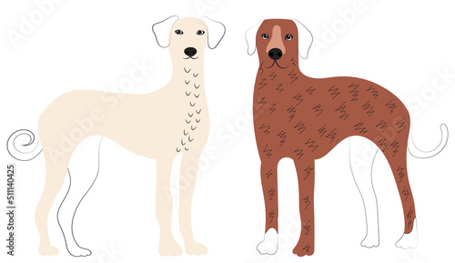 dogs doodle sketch  outline  isolated  vector