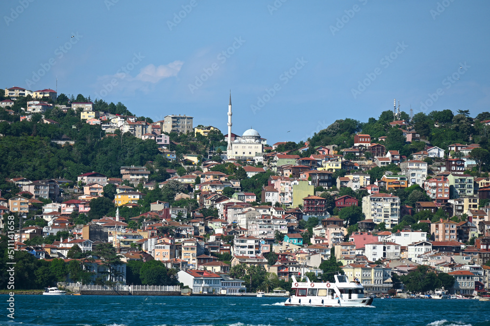Beautiful houses view near Bosphorus in Beykoz District of Istanbul