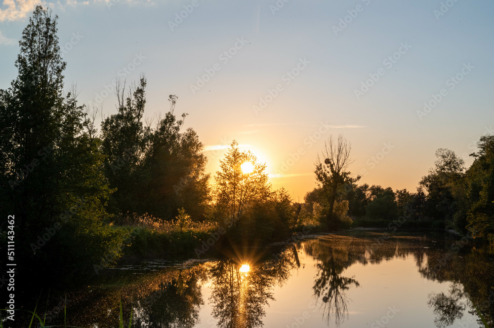 FLOWER,TREE,PLANTS,ANIMALS, LANDSCAPE FLOWER,TREE,PLANTS,ANIMALS, LANDSCAPE