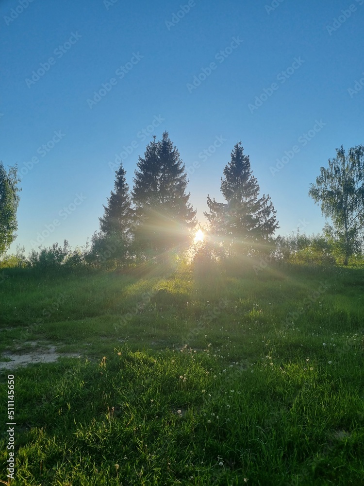 Fototapeta premium morning in the mountains