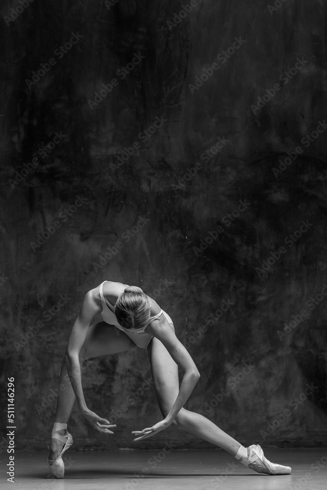 Young beautiful ballerina is posing in studio - obrazy, fototapety, plakaty 