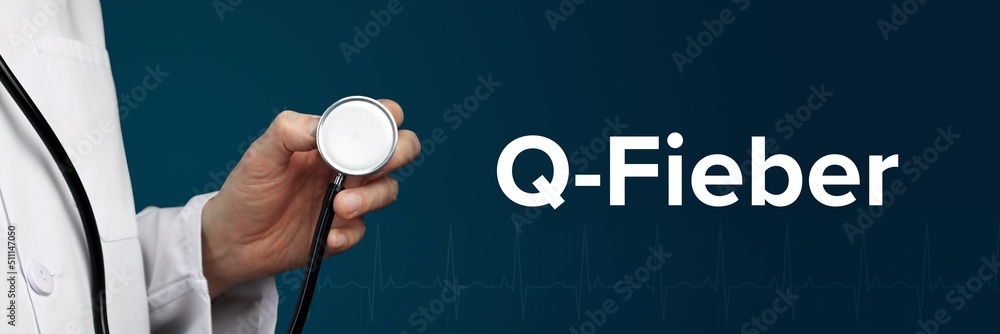 Q-Fieber (Query-Fieber). Arzt hält Stethoskop in Hand. Begriff steht daneben. Blauer Hintergrund mit EKG. Medizin - obrazy, fototapety, plakaty 