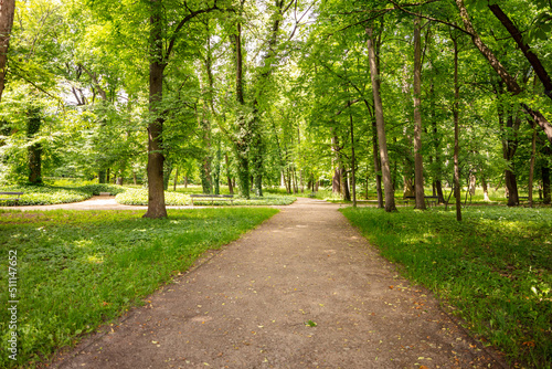 Fototapeta Naklejka Na Ścianę i Meble -  Warszawa, park Łazienki Królewskie, ścieżka z ławkami wśród zielonych drzew. Piękne miejsce na rodzinne spacery.