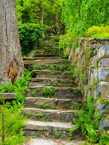 Stone staircase covered with plants in a garden.