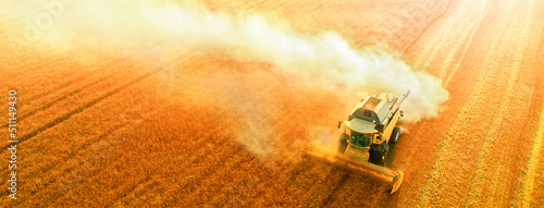 Fotografie, Obraz Ukraine harvester harvests wheat drone Top view.
