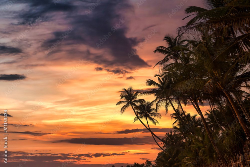 Background tropical natural landscape with coconut palm trees on fantastic sunset, amazing orange sky with clouds for concept of summer vacation and business travel