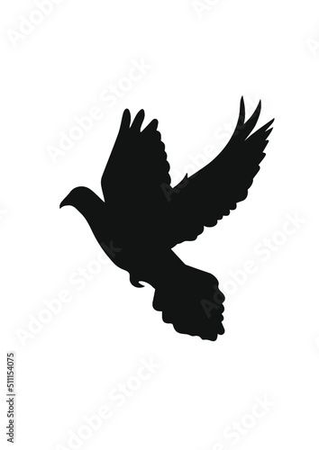 colombe de la paix photo