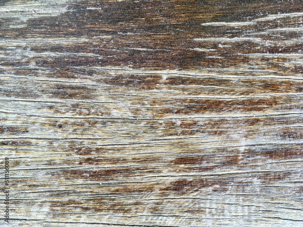 Fototapeta premium old wood texture