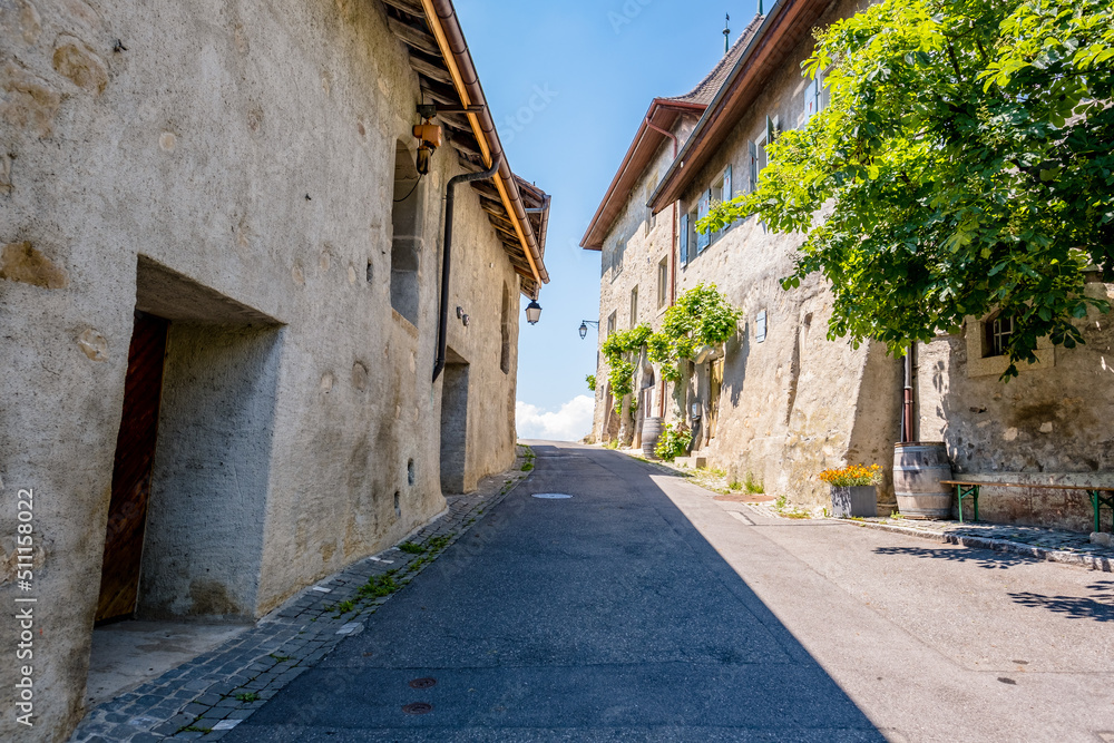Small alleyway through the village of Villette