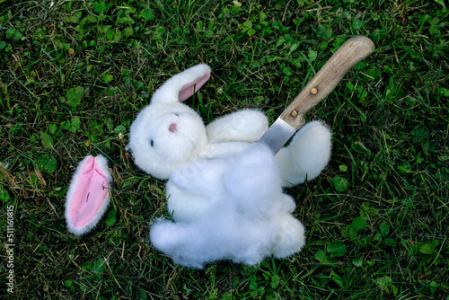 Bild auf Leinwand stuffed bunny lying on the floor destroyed with a knife