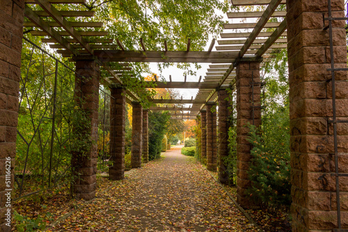 markleeberg in autum