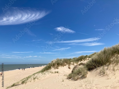Fototapeta Naklejka Na Ścianę i Meble -  Sommerliche Dünenlandschaft an der Nordseeküste mit Sand und Strandhafer vor blauem Himmel mit Cyrruswolken bei de Haan, Belgien