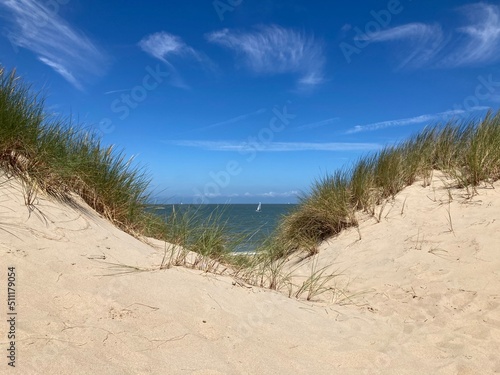 Sommerliche D  nenlandschaft an der Nordseek  ste mit Sand und Strandhafer vor blauem Himmel mit Cyrruswolken bei de Haan  Belgien