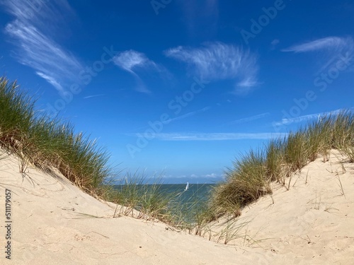 Sommerliche Dünenlandschaft an der Nordseeküste mit Sand und Strandhafer vor blauem Himmel mit Cyrruswolken bei de Haan, Belgien