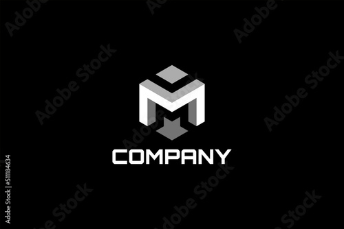Three-dimensional axonometric hexagonal vector logo element with initials M. 3D logo M.
Usable for general business logo brands