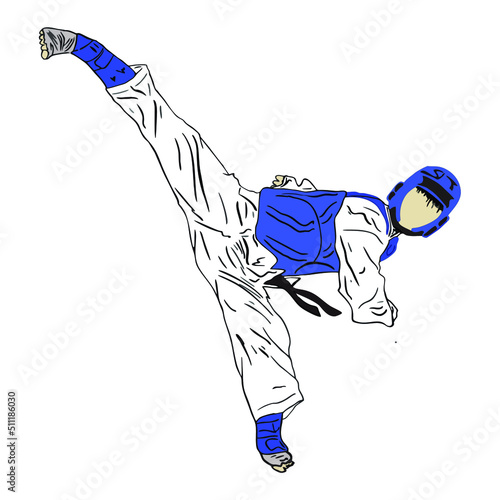 taekwondo illustration vector