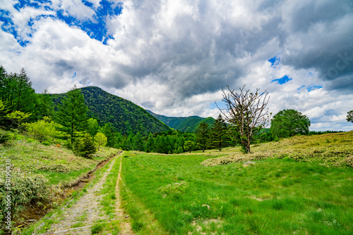 長野県宮田村　宮田高原キャンプ場の景色