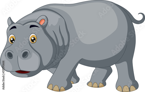 Cute hippo cartoon on white background
