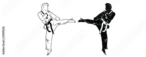 taekwondo vector icon logo illustration