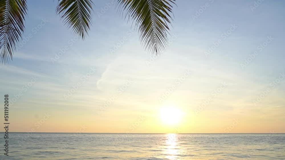Palm fronds drip into the top of the frame of a tropical ocean sunset. Title space Palm fronds drip into the top of the frame of a tropical ocean sunset. Title space