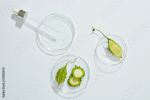 Top view of bittermelon in transparent petri dish and green leaf with blank space white background 