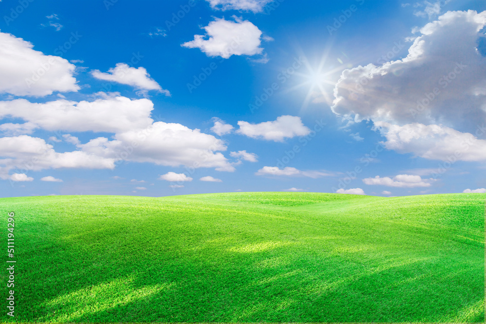 Obraz premium green field and blue sky with light clouds,Image of green grass field and bright blue sky. Plain landscape background for summer poster. The best view for holiday.